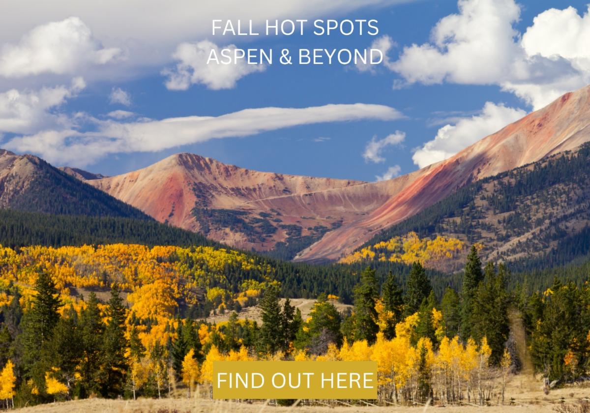 Fall Newsletter - Mountain Scene