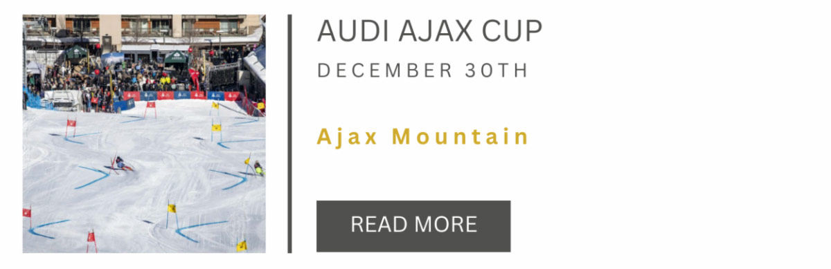 Audi Ajax Cup