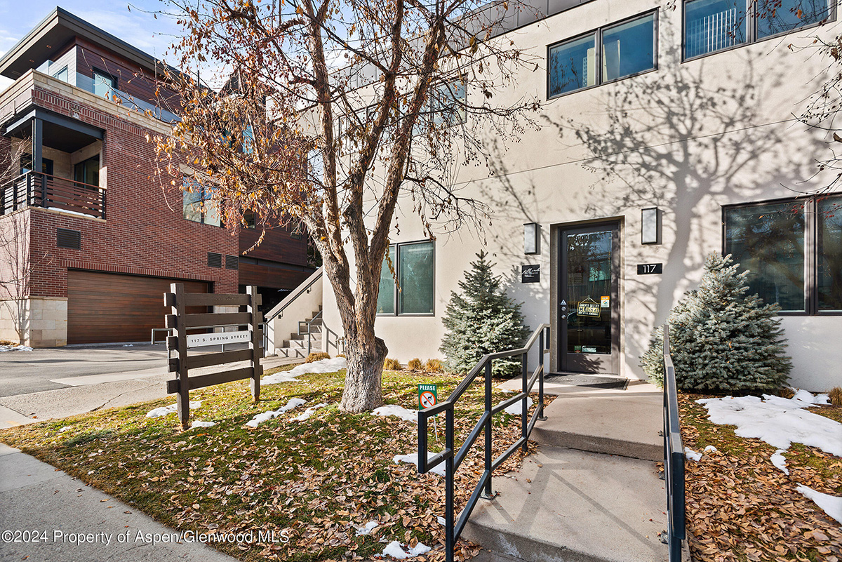 117 S Spring Street #C & D, Aspen #1
